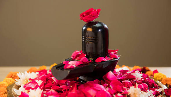 Rudrabhishek Pooja in Somnath